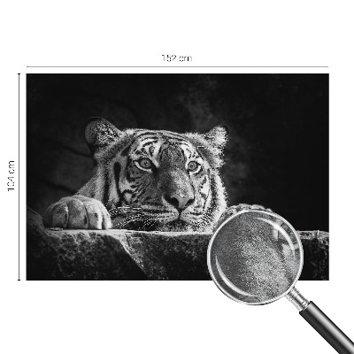 Fototapet på mål Rovdyragtigt udseende