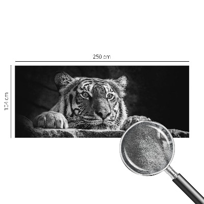 Fototapet på mål Rovdyragtigt udseende