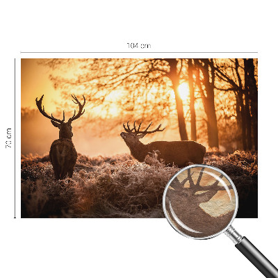 Stor fototapet Hjorte om morgenen