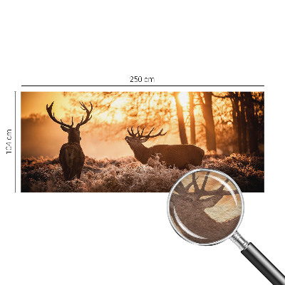 Stor fototapet Hjorte om morgenen