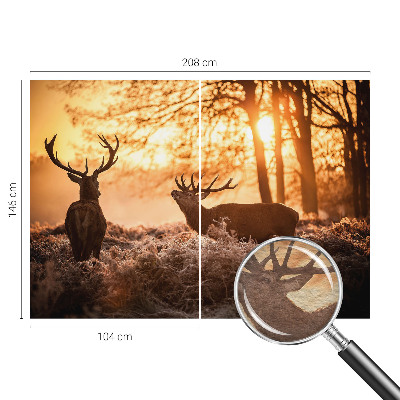 Stor fototapet Hjorte om morgenen