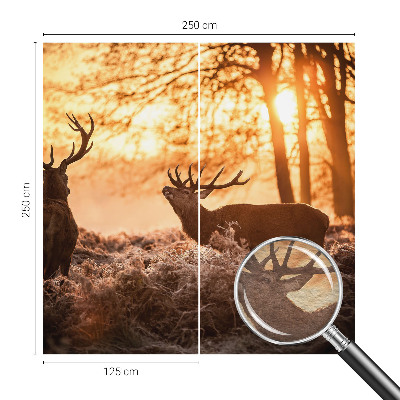 Stor fototapet Hjorte om morgenen