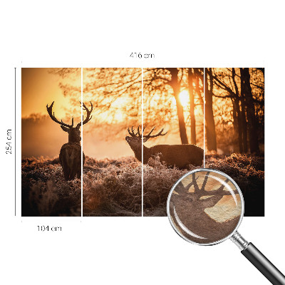 Stor fototapet Hjorte om morgenen