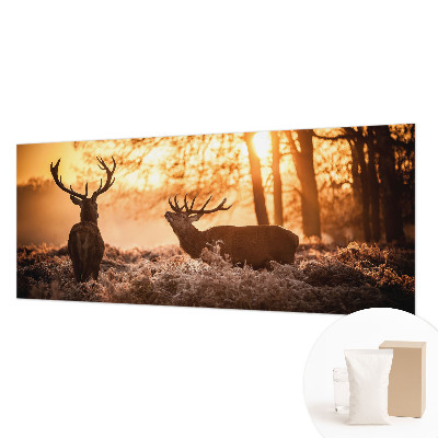 Stor fototapet Hjorte om morgenen