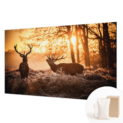 Stor fototapet Hjorte om morgenen