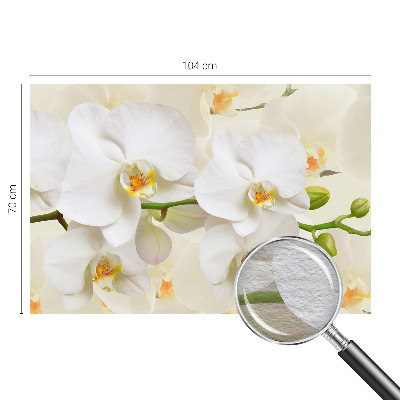 Væg tapet Blomsterrigdom