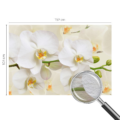 Væg tapet Blomsterrigdom