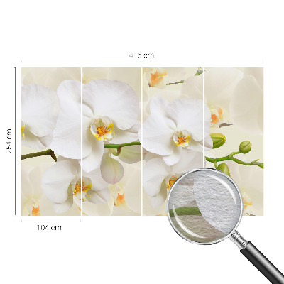 Væg tapet Blomsterrigdom