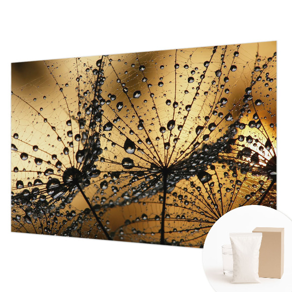 Tapet væg Delikate dråber