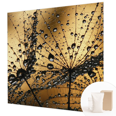 Tapet væg Delikate dråber