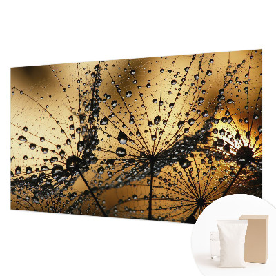 Tapet væg Delikate dråber