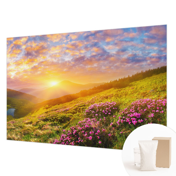 Fotovæg soveværelse Bjergvest