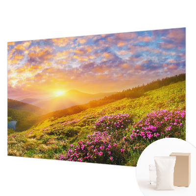 Fotovæg soveværelse Bjergvest