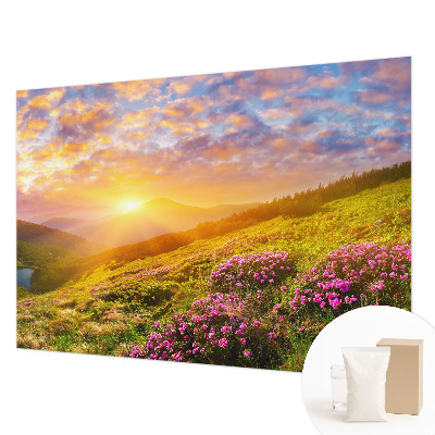 Fotovæg soveværelse Bjergvest