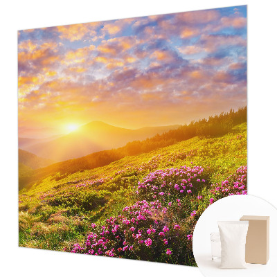 Fotovæg soveværelse Bjergvest