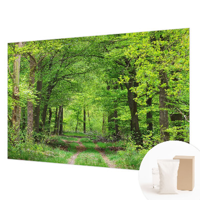 Fototapet efter mål Skovsti