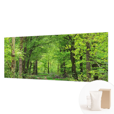 Fototapet efter mål Skovsti