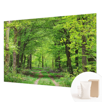 Fototapet efter mål Skovsti