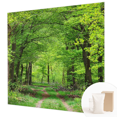 Fototapet efter mål Skovsti