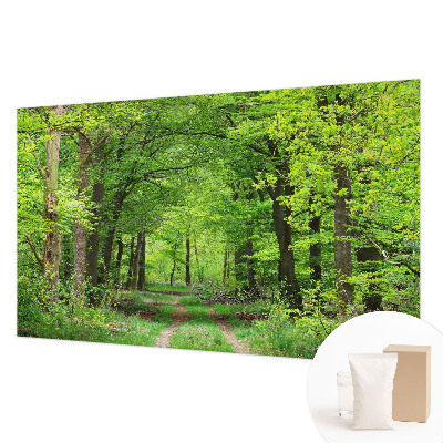 Fototapet efter mål Skovsti