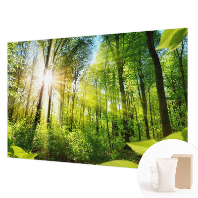 Fototapet på mål Skovlys