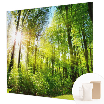 Fototapet på mål Skovlys