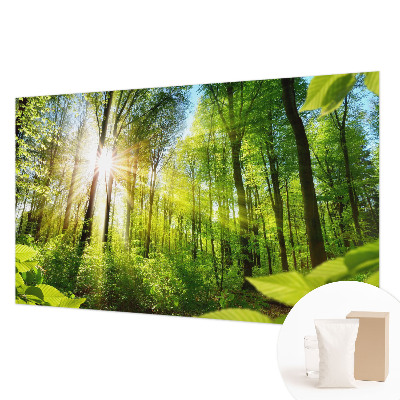 Fototapet på mål Skovlys