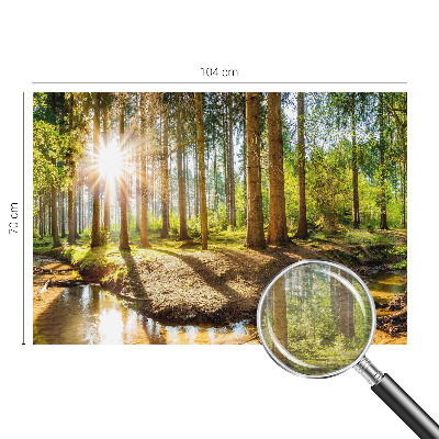 Høj kvalitet fototapet Skovidyl