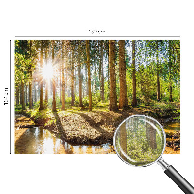 Høj kvalitet fototapet Skovidyl