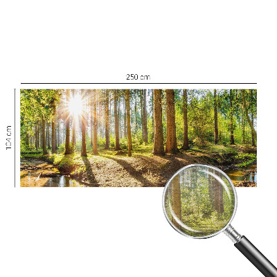 Høj kvalitet fototapet Skovidyl