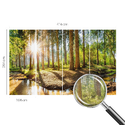 Høj kvalitet fototapet Skovidyl