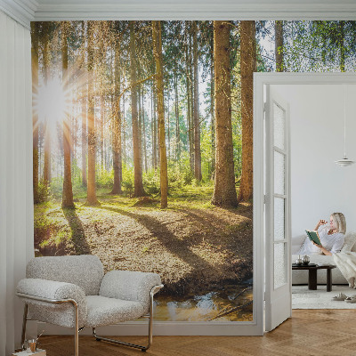 Høj kvalitet fototapet med motiv af skovidyl