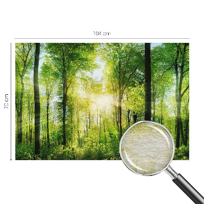 Fototapet Skovharmoni