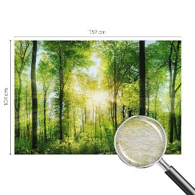 Fototapet Skovharmoni