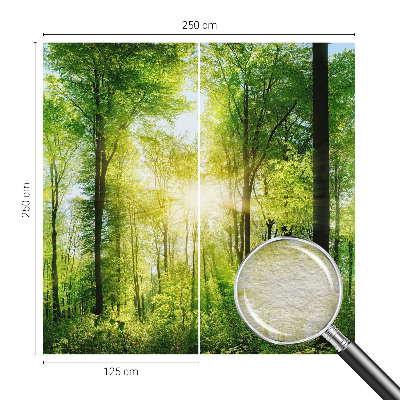 Fototapet Skovharmoni