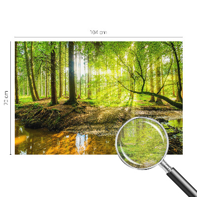 Fotostat Grønt landskab