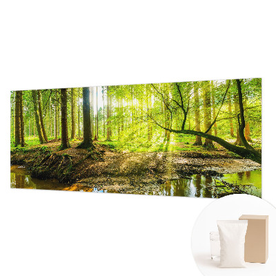 Fotostat Grønt landskab