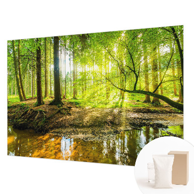 Fotostat Grønt landskab