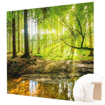 Fotostat Grønt landskab