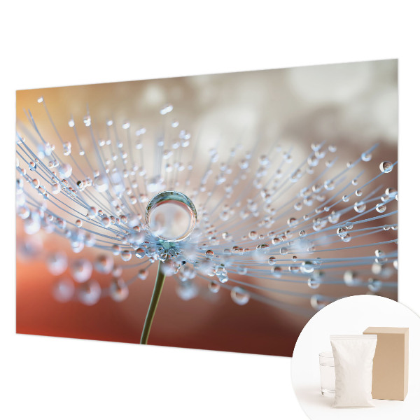 Fototapet på mål En dråbe på en mælkebøtte