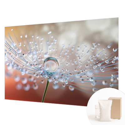 Fototapet på mål En dråbe på en mælkebøtte