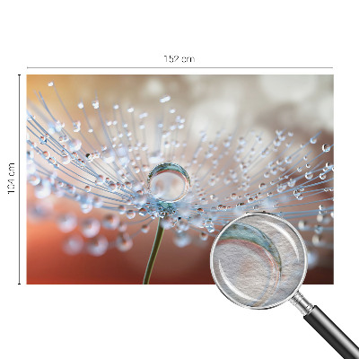 Fototapet på mål En dråbe på en mælkebøtte