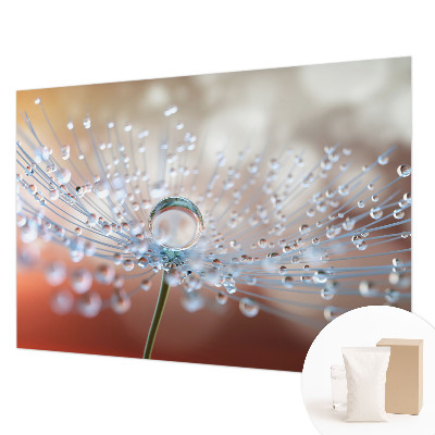 Fototapet på mål En dråbe på en mælkebøtte