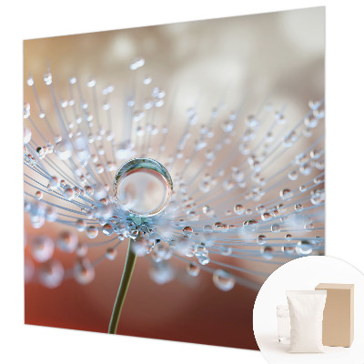 Fototapet på mål En dråbe på en mælkebøtte