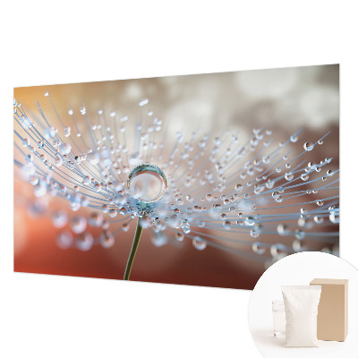 Fototapet på mål En dråbe på en mælkebøtte