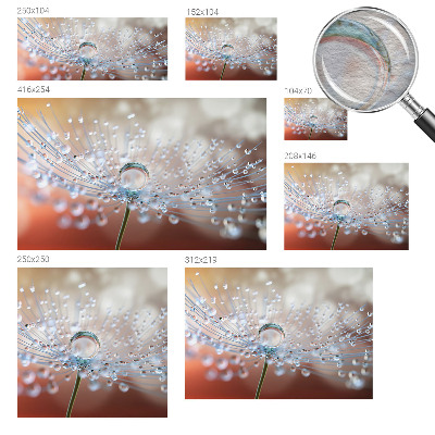 Fototapet på mål En dråbe på en mælkebøtte