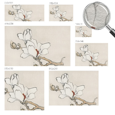 Fototapet Delikate magnolier