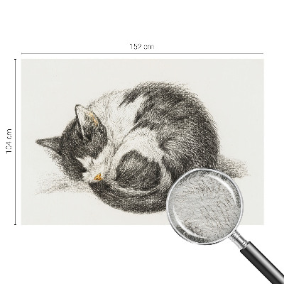 Vlies fototapet Yndig killing