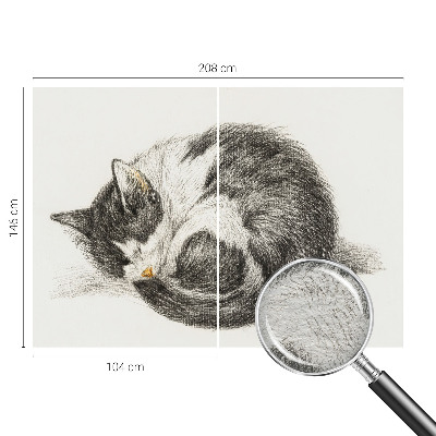 Vlies fototapet med motiv af en yndig killing