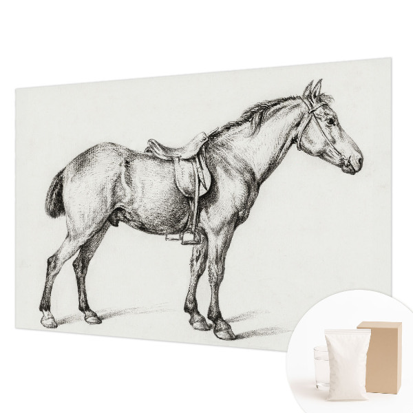 Non-woven fototapet med en skitse af en hest